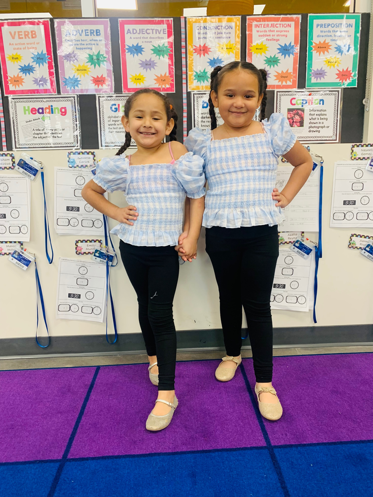 girls dressed as twins